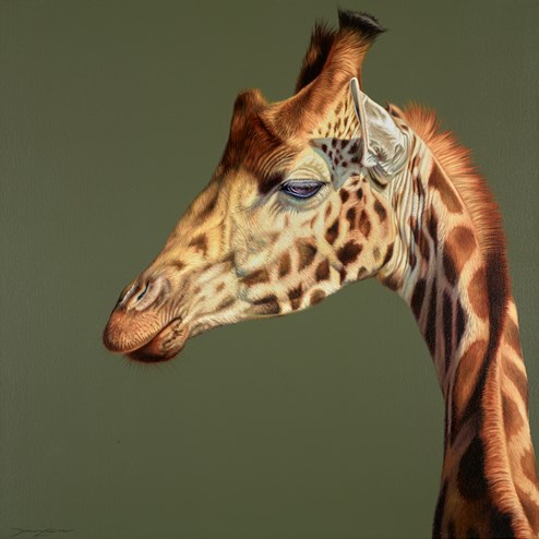 Graceful Curve by Darryn Eggleton - Original Painting on Box Canvas